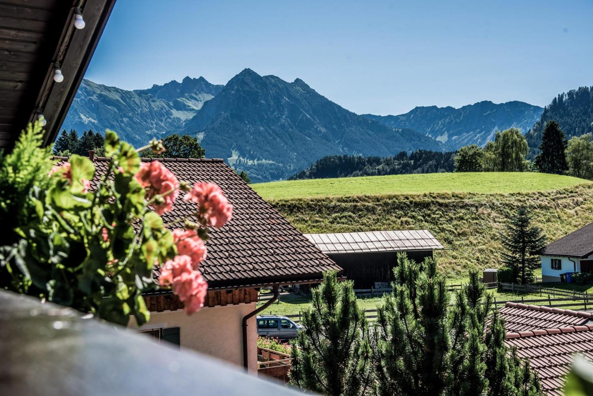 Haus Susanne - Top-Ferienwohnungen - Sommer-Bergbahn Inklusive 上迈塞尔施泰因 外观 照片