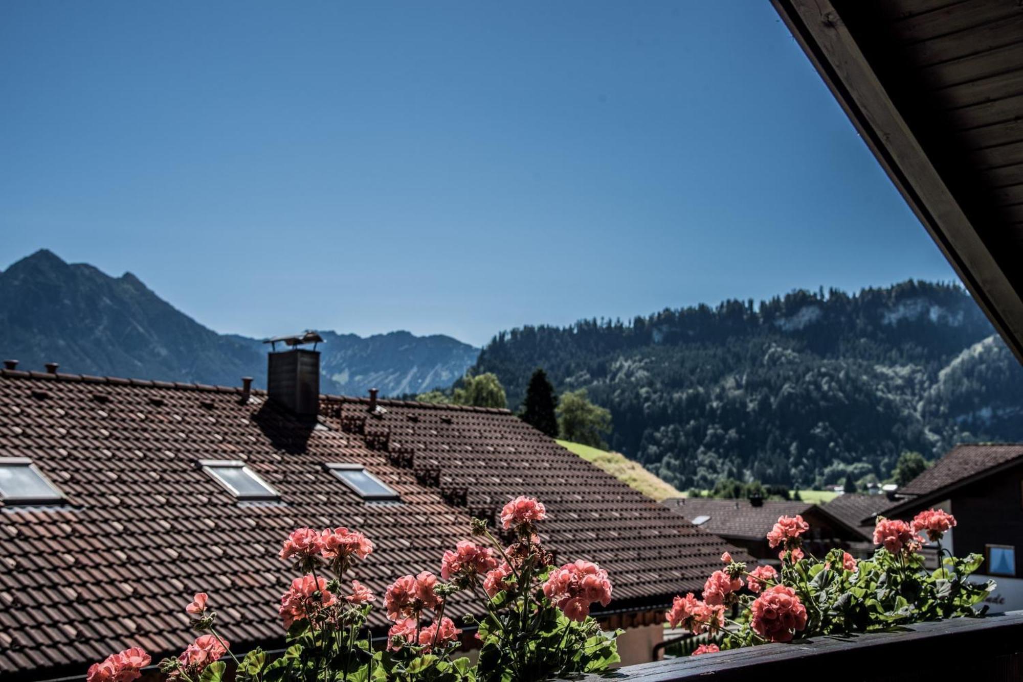 Haus Susanne - Top-Ferienwohnungen - Sommer-Bergbahn Inklusive 上迈塞尔施泰因 外观 照片