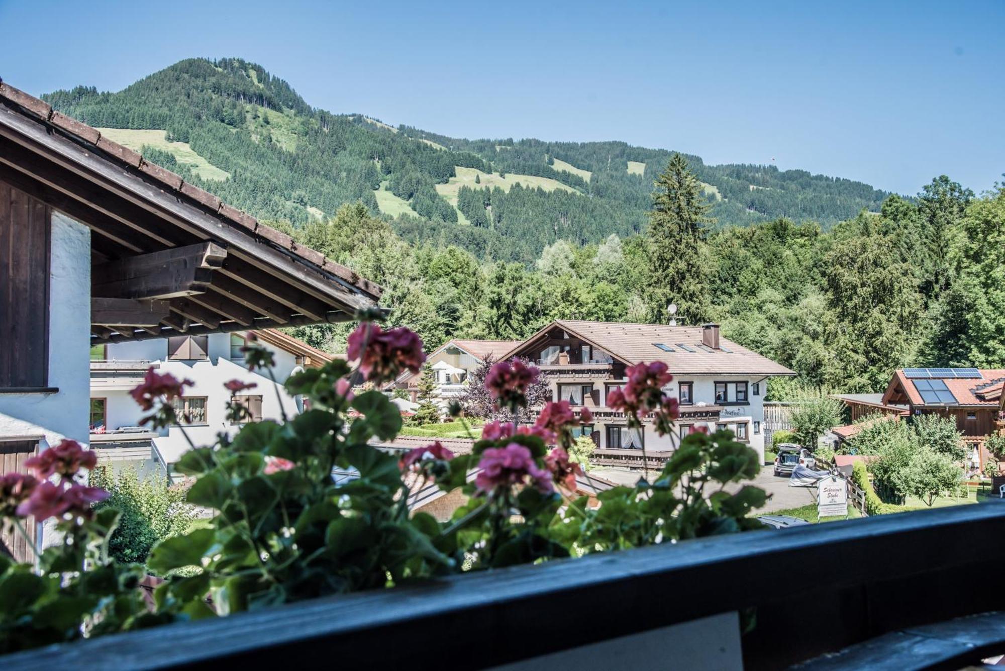 Haus Susanne - Top-Ferienwohnungen - Sommer-Bergbahn Inklusive 上迈塞尔施泰因 外观 照片